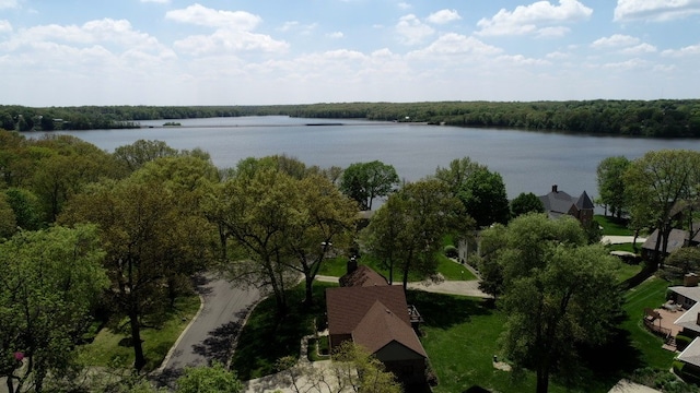 41 Lakeshore Dr, Danville, IL 61832 - photo 39