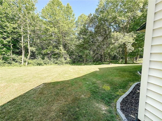 3 Wood Ridge Ln, Marshall, IL 62441 - view of grassy yard