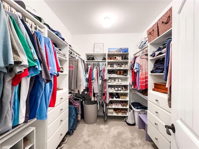 3 Wood Ridge Ln, Marshall, IL 62441 - spacious closet with carpet flooring