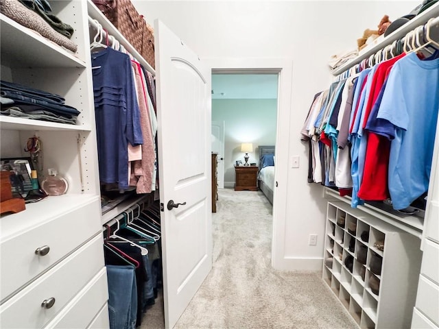 3 Wood Ridge Ln, Marshall, IL 62441 - walk in closet with carpet