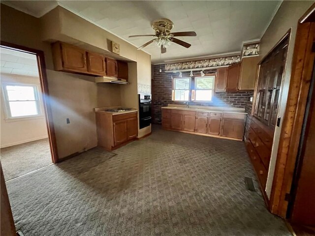 kitchen featuring ceiling fan, a healthy amount of sunlight, and dark colored carpet