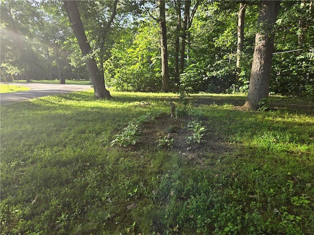 14317 N 920 E Rd, Fairmount, IL 61841 - view of yard