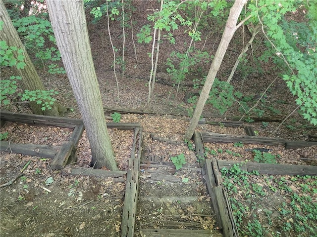 14317 N 920 E Rd, Fairmount, IL 61841 - view of local wilderness