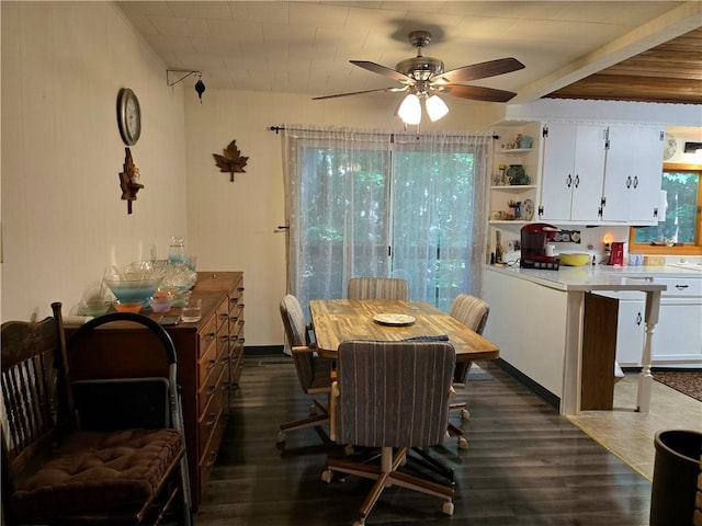 14317 N 920 E Rd, Fairmount, IL 61841 - dining area with ceiling fan and dark wood-style flooring