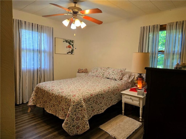 14317 N 920 E Rd, Fairmount, IL 61841 - bedroom featuring multiple windows, dark wood-type flooring, and a ceiling fan