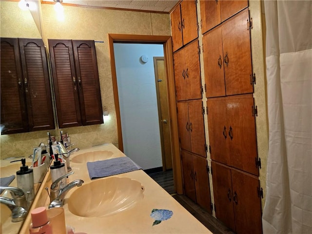 14317 N 920 E Rd, Fairmount, IL 61841 - bathroom with double vanity