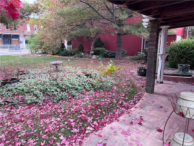 view of yard featuring a patio