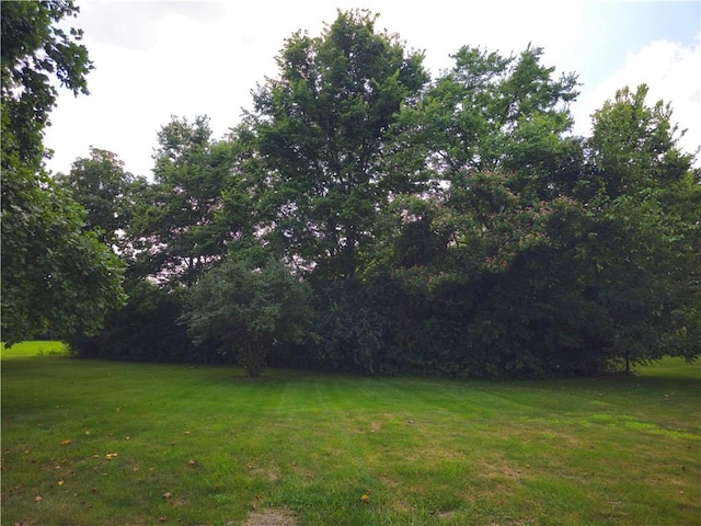 12923 E County Road 700n, Charleston, IL 61920 - photo 45
