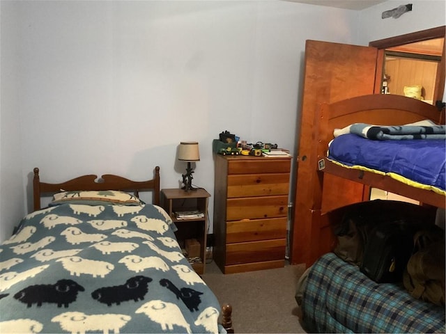 374 Adams St, Mason, IL 62443 - photo 9