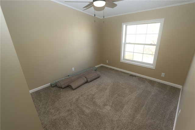 carpeted spare room with ceiling fan and ornamental molding