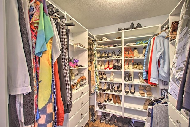 1077 Cornell Dr, Decatur, IL 62522 - walk in closet with wood finished floors