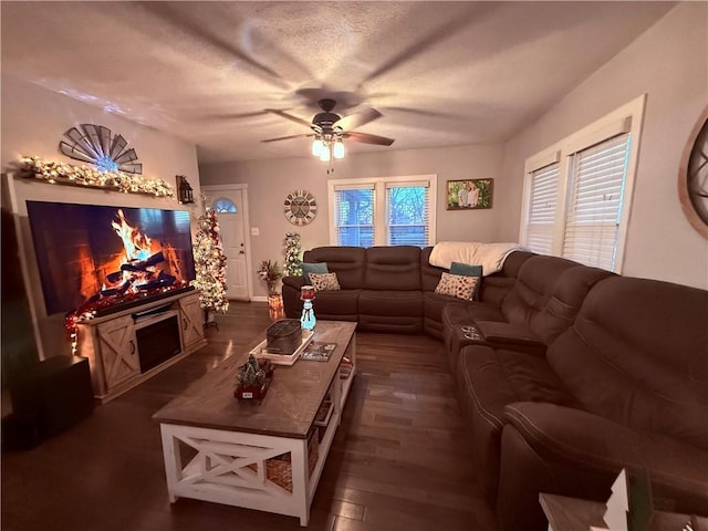 living room featuring ceiling fan, dark hardwood / wood-style flooring, and a textured ceiling