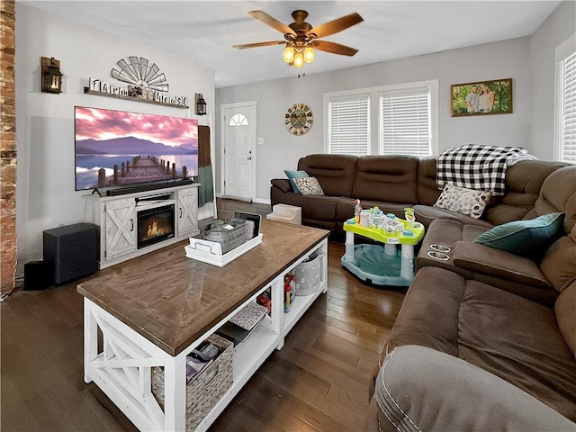 living room featuring a glass covered fireplace, ceiling fan, and dark wood finished floors