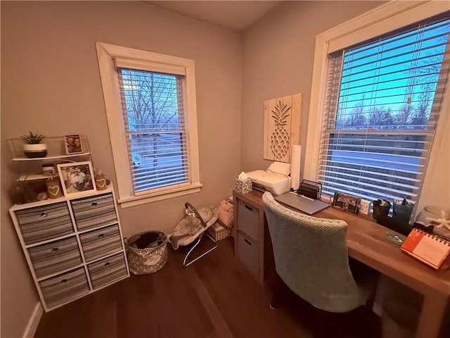 office space featuring hardwood / wood-style flooring and a wealth of natural light