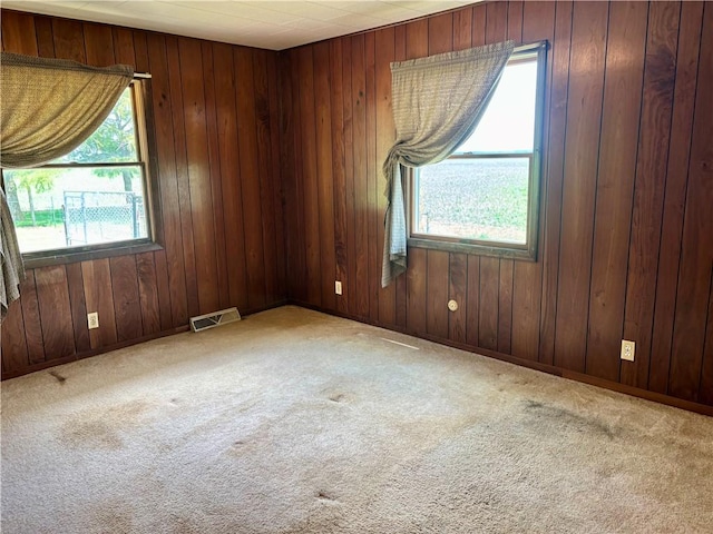 2496 N 300th St, Mason, IL 62443 - carpeted spare room featuring wood walls