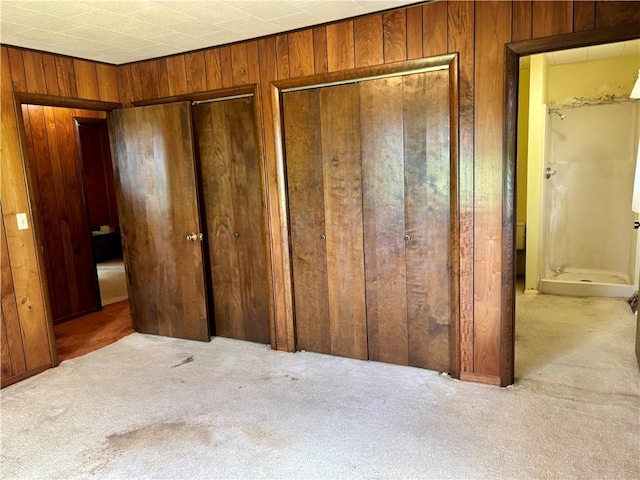 2496 N 300th St, Mason, IL 62443 - unfurnished bedroom featuring wooden walls, carpet, and multiple closets