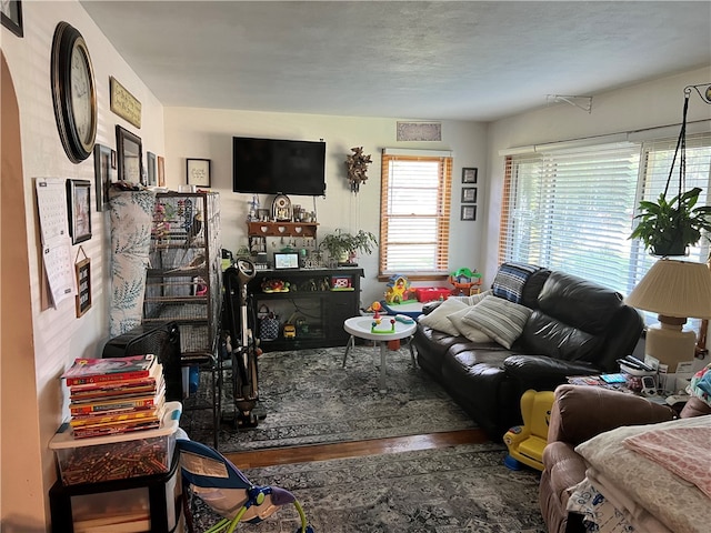 living room featuring hardwood / wood-style floors and a textured ceiling