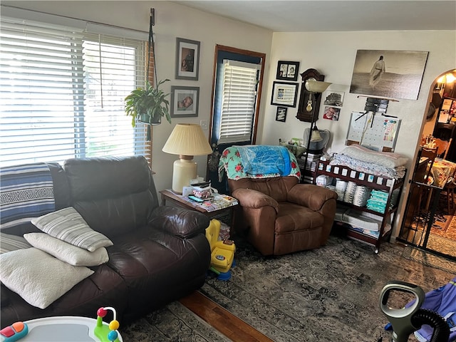 living room with hardwood / wood-style flooring