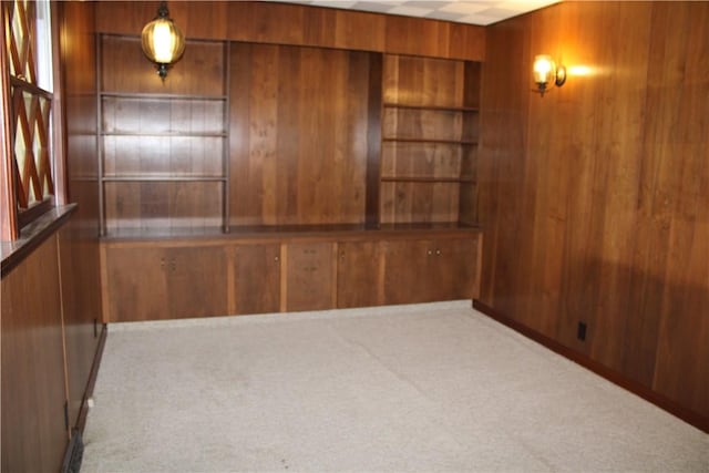 1011 W N 3rd St, Shelbyville, IL 62565 - carpeted empty room with wooden walls and built in features