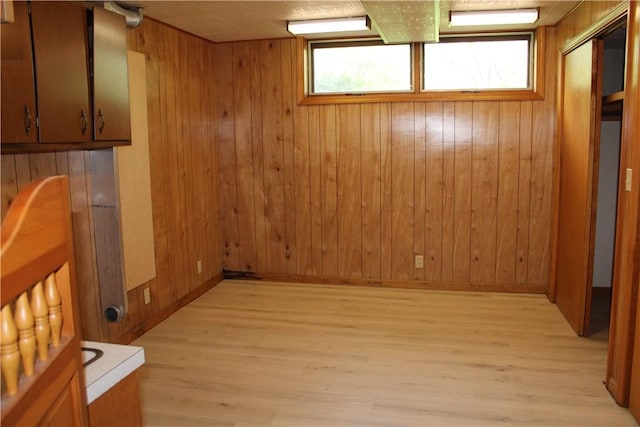 1011 W N 3rd St, Shelbyville, IL 62565 - basement featuring light wood finished floors, wood walls, and baseboards