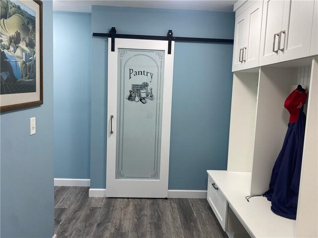 303 S Pine St, Pana, IL 62557 - mudroom with dark wood-style flooring, a barn door, and baseboards