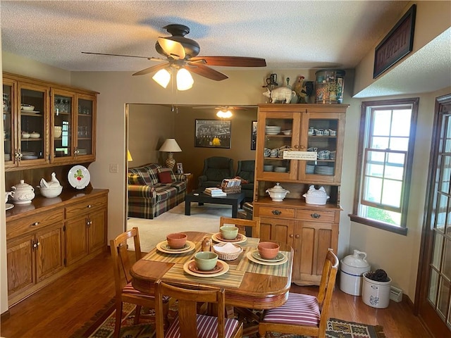 303 S Pine St, Pana, IL 62557 - dining room with ceiling fan, healthy amount of natural light, wood finished floors, and a textured ceiling