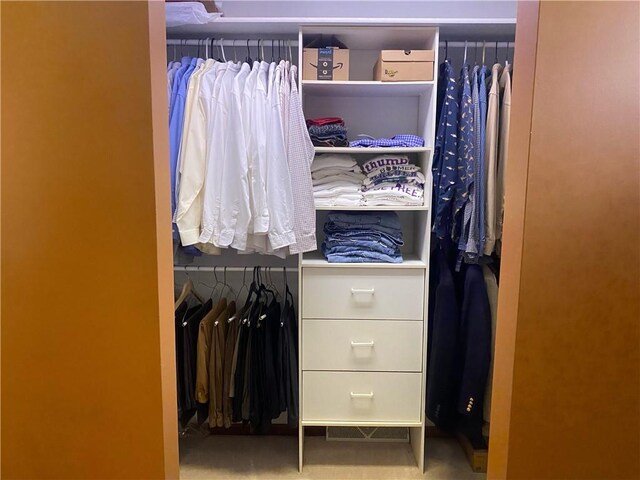 303 S Pine St, Pana, IL 62557 - view of closet