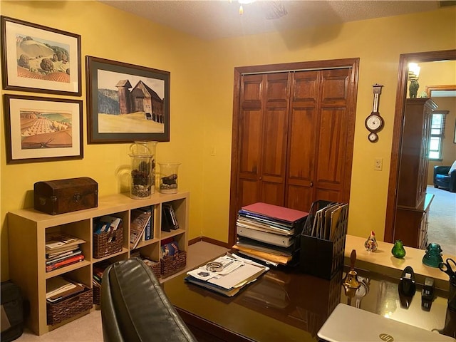 303 S Pine St, Pana, IL 62557 - view of carpeted office space