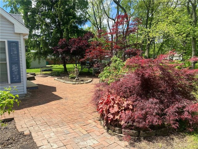 303 S Pine St, Pana, IL 62557 - view of yard with a patio area