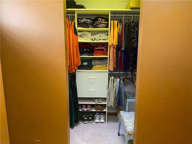 303 S Pine St, Pana, IL 62557 - view of closet