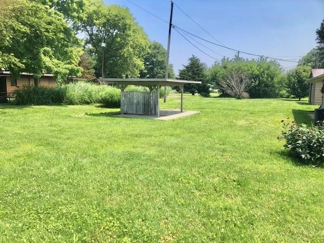 900 W Cumberland Rd, Saint Elmo, IL 62458 - view of green lawn