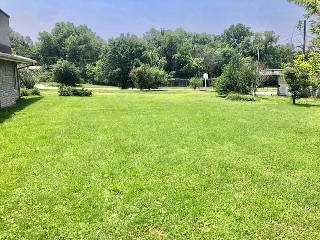 900 W Cumberland Rd, Saint Elmo, IL 62458 - view of green lawn