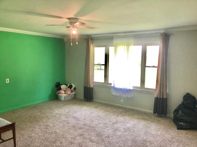 900 W Cumberland Rd, Saint Elmo, IL 62458 - carpeted spare room with healthy amount of natural light, a ceiling fan, and crown molding