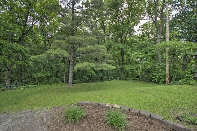 2064 William St, Decatur, IL 62522 - view of green lawn with a forest view