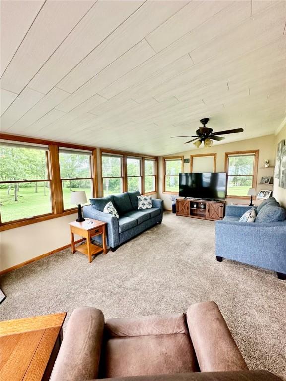 31508 1800 E Rd, Rossville, IL 60963 - living room featuring carpet and ceiling fan