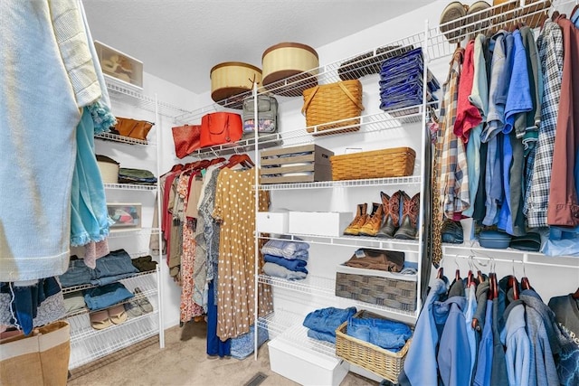 view of spacious closet