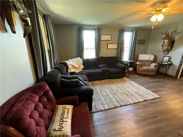 living room featuring ceiling fan, a healthy amount of sunlight, and dark wood-type flooring