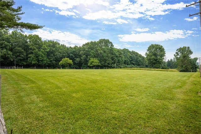 14480 N 1025th St, Effingham, IL 62401 - view of grassy yard