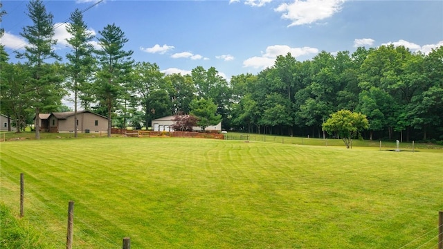 14480 N 1025th St, Effingham, IL 62401 - view of yard