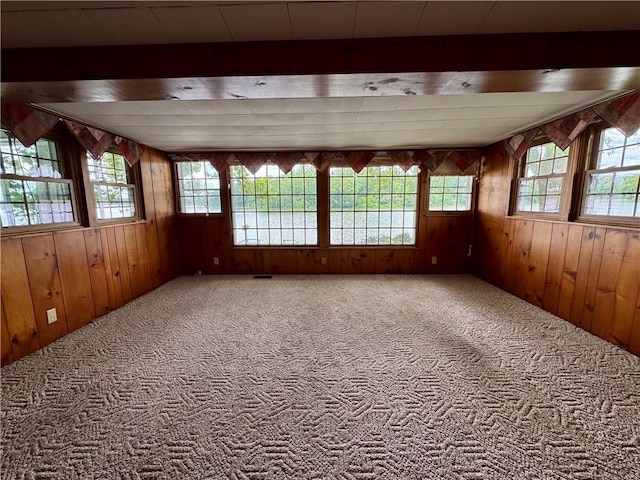3475 Lake Paradise Rd, Mattoon, IL 61938 - carpeted spare room featuring wood walls