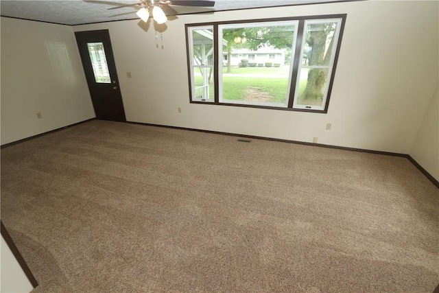 100 N Dodson St, Pana, IL 62557 - photo 11