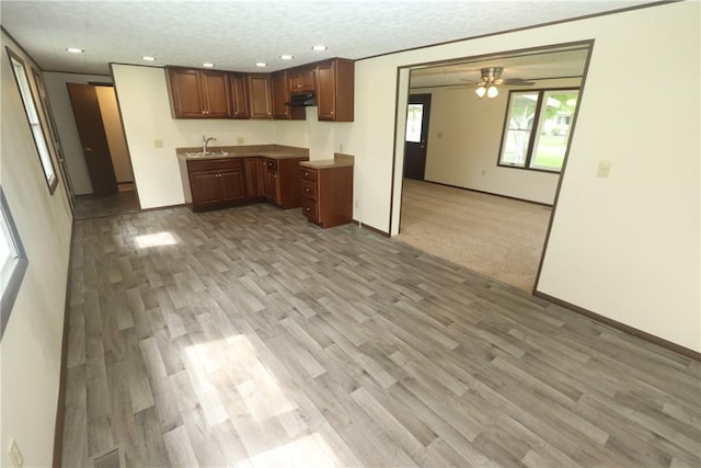 100 N Dodson St, Pana, IL 62557 - photo 10