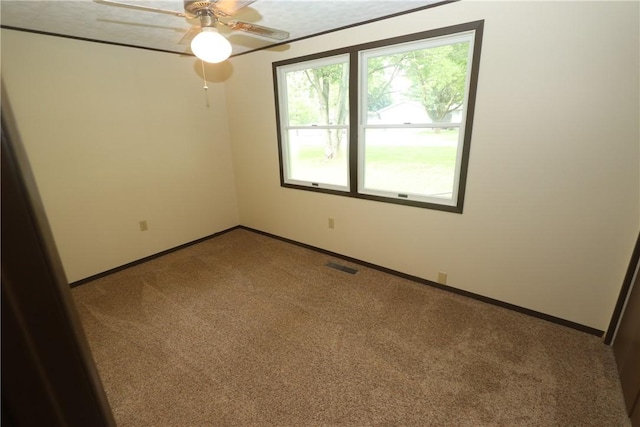 100 N Dodson St, Pana, IL 62557 - photo 16