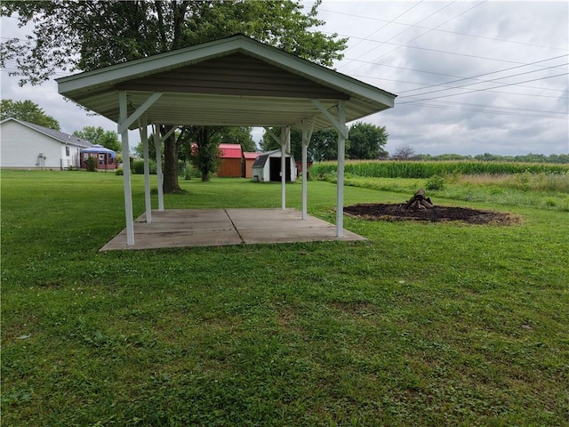 100 N Dodson St, Pana, IL 62557 - photo 4