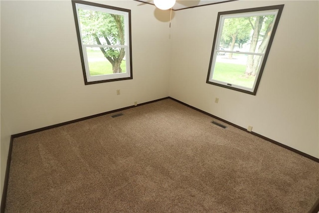 100 N Dodson St, Pana, IL 62557 - photo 18