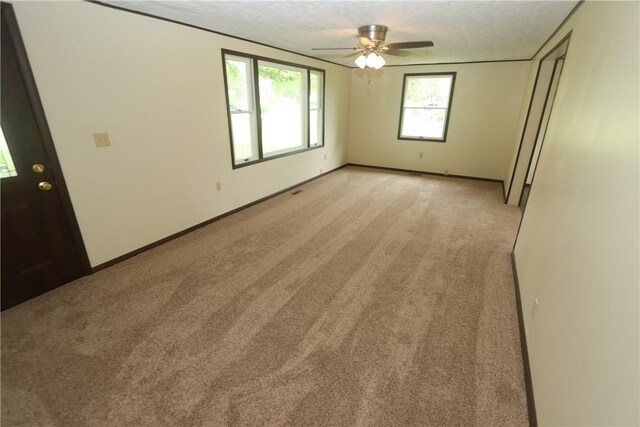 100 N Dodson St, Pana, IL 62557 - photo 12