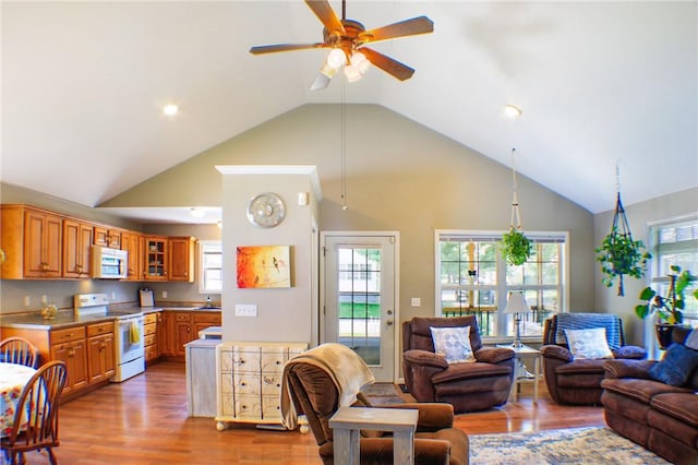 1203 Adams Ave, Charleston, IL 61920 - living area with ceiling fan, wood finished floors, high vaulted ceiling, plenty of natural light, and recessed lighting