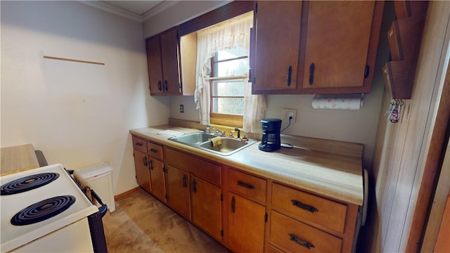 kitchen featuring sink, ornamental molding, and range with electric cooktop