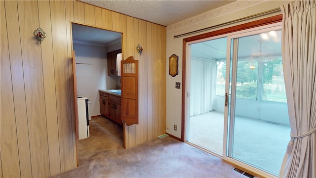 entryway featuring light carpet, a textured ceiling, and wooden walls