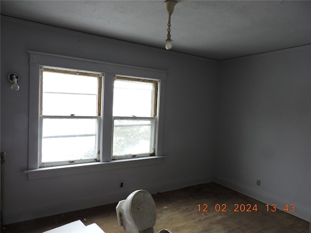 spare room with wood-type flooring